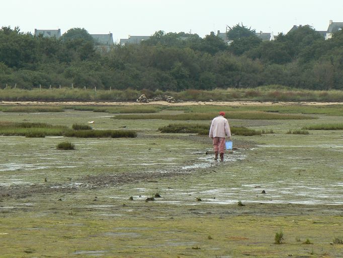Gué du Gornevez, le Cadouarn ; île de Boëde (Séné)