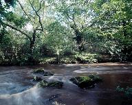 Présentation de la commune de Berné