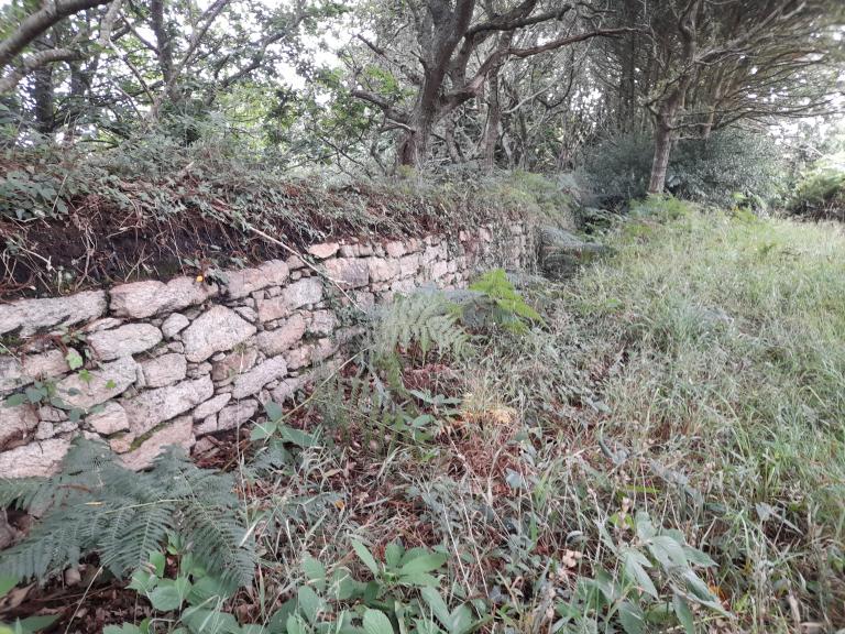 Murets de pierre sèche, Pointe de Castel Coz (Beuzec-Cap-Sizun)