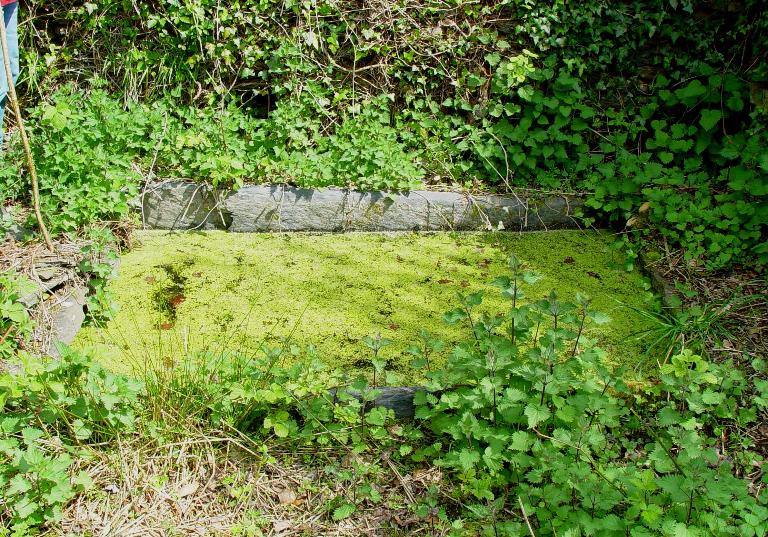 Kanndi de Forsquilly (Saint-Eloy)