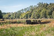 Site d'écluse Toul Houët n°134 (Saint-Gelven fusionnée en Bon Repos sur Blavet en 2017)