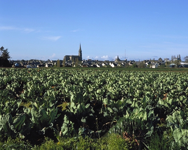 Village de Saint-Méloir-des-Ondes