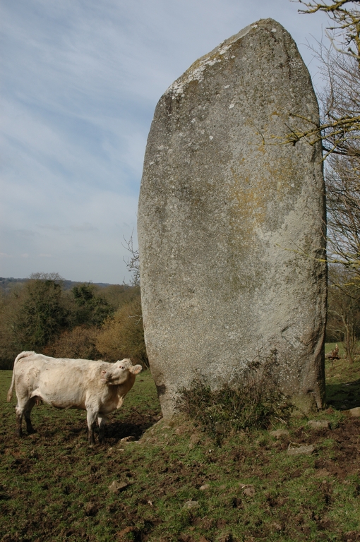 Menhir nord de Keranscot dit "Men-Bras" (Trégrom)