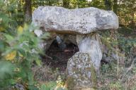 Allée couverte, le Bois du Rocher (Saint-Hélen)