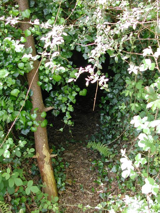 Abri n° 4 (Vestiges du poste de douane : ?), Pointe de Penn-al-Lann (Carantec)