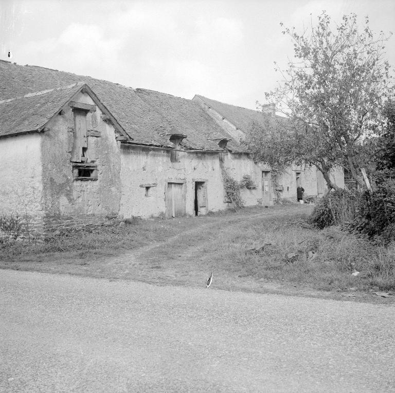 Présentation de la commune de Cintré