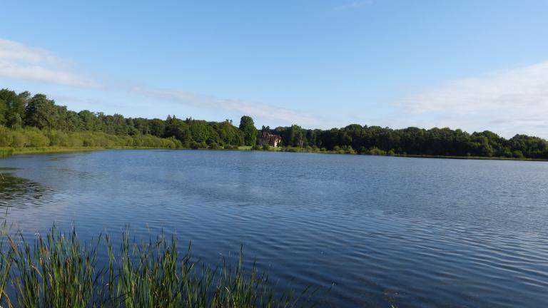 Château, Brocéliande (Paimpont)