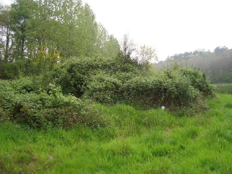 Moulin à papier, La Verrerye (Coglès fusionnée en Les Portes du Coglais en 2017)