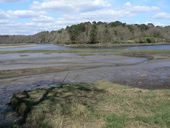 Cales de passage de Saint-Maurice (Clohars-Carnoët)