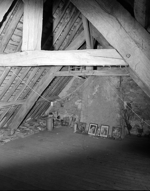 Manoir, la Martinais (Saint-Christophe-des-Bois)