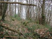 Tranchées (réseau de), en contrebas du Ménez, Bois de Ploujean (Morlaix)