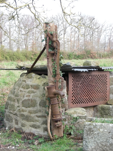 Fontaine, le Bas Gouillon (Miniac-Morvan)
