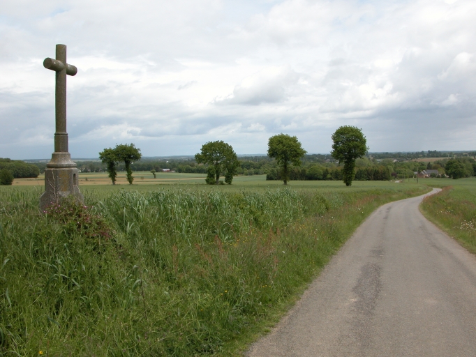 Croix de chemin, près de Rollée (Saint-Thual)
