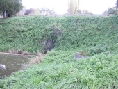 Pont, le Baillage (Le Tronchet)