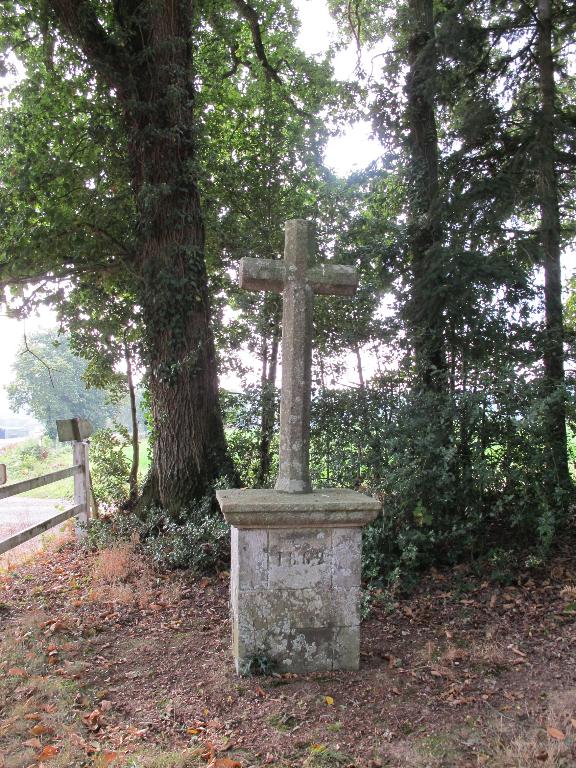 Croix de chemin, Castellan (Saint-Martin-sur-Oust)