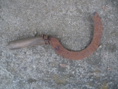 Outil de pêche à pied : faucille à goémon