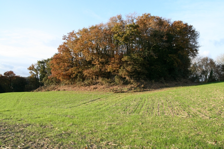 Motte, la Motte (Brasparts)