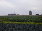 Moulin, Moulin de la Masse (Saint-Coulomb)