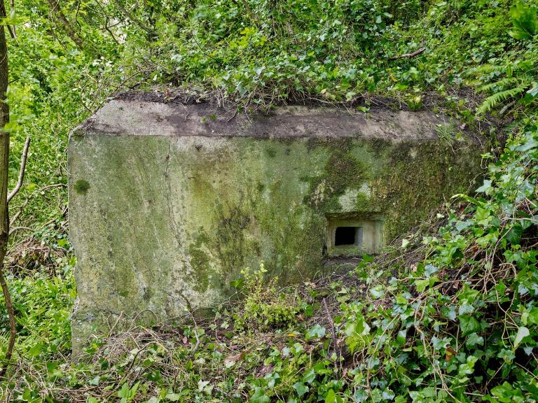 Bunker - casemate de flanquement, postes d'observation et de tir, versant Nord vers le Gouët, Domaine de la Tour de Cesson, rue de la Tour (Saint-Brieuc)