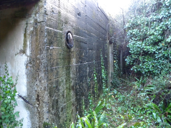 Blockhaus : abri pour canons, l'Île à Bois (Lézardrieux)