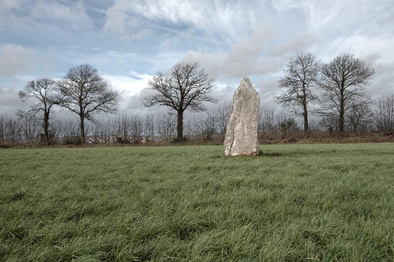 Menhir dit La Pierre Blanche, le Champ de la Pierre Blanche (Pocé-les-Bois)