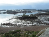 Écart : Île Logodec (île de Bréhat)