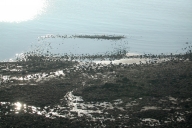 Installation aquicole : pêcheries du Verdelet (Pléneuf-Val-André)