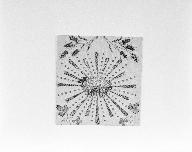 Pale 6, basilique Notre-Dame-du-Roncier (Josselin)