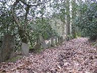 Présentation de la commune de Pluherlin