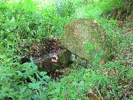 Fontaine Saint-Efflam (Langoëlan)