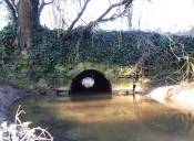 Pont de la Roche (Lancieux)