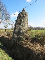 Menhir la Pierre Longue (Noyal-sous-Bazouges)