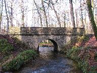 Pont, forêt du Cranou (Hanvec)