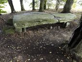 Dolmen de la Maison trouée ou de la Pierre trouée, près de la Ville du Voyer (La Chapelle-Caro fusionnée en Val d'Oust en 2016)