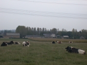 Écart, la Marche (Le Pertre)