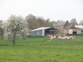 Ferme, la Ville Morhain (Pleugueneuc)