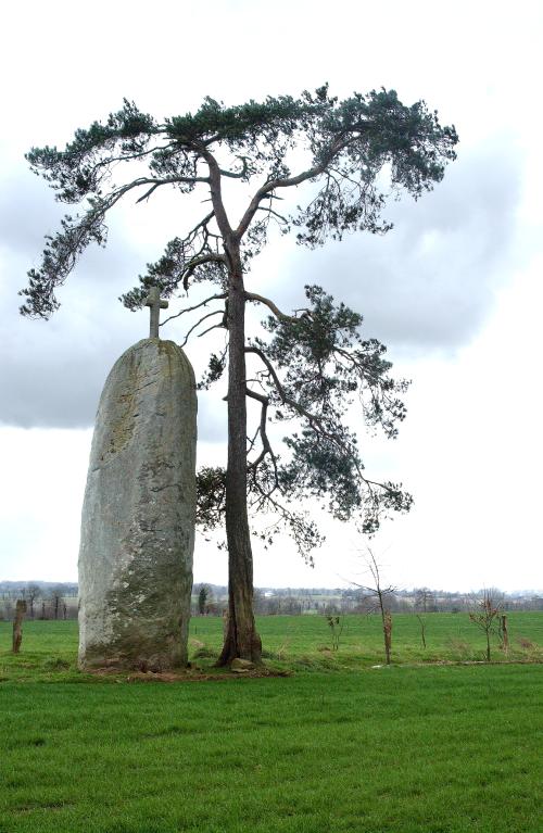 Menhir dit "La Pierre Longue de Saint-Jouan" et croix de chemin, la Butte (Cuguen)