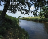 Les lignes fortifiées sur la commune de Saint-Benoît-des-Ondes