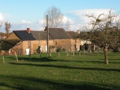 Ferme, 8 la Basse Cocais (Le Verger)