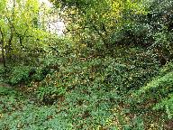 Ardoisière de Kergueffiat (Gouézec)