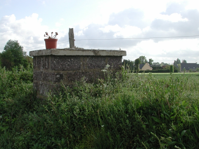 Croix de chemin, la Rimaudière (La Chapelle-Thouarault)