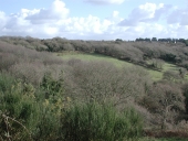 Paysage dit vallée littorale de Goas Lagorn (Trébeurden)