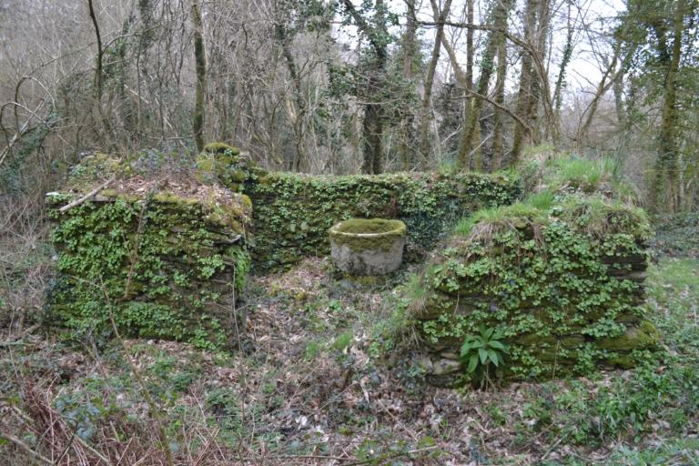 Kanndi de Kergoat (Le Tréhou)