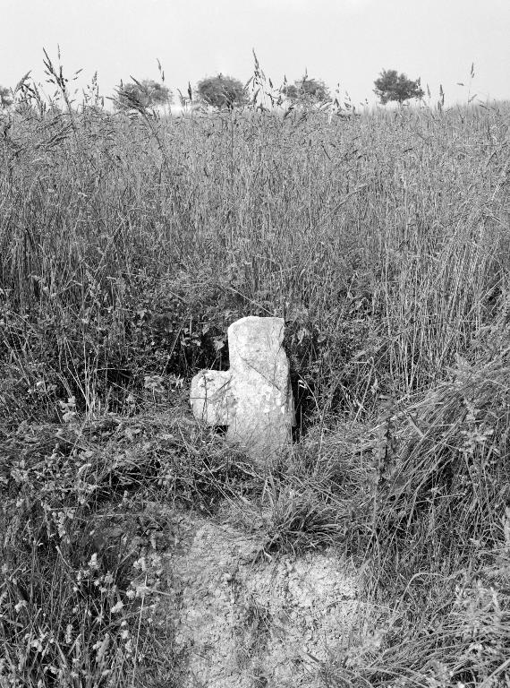 Croix de chemin, au sud du Bourgneuf (Carentoir)