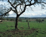 Présentation de la commune de Saint-Just