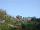 Abri pour un groupe de type Vf 2 (explosé), Pointe de Toul an Ouch (Plougoulm)