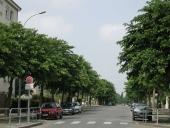 Boulevard de Maurepas, actuellement boulevard Raymond-Poincaré et boulevard Alexis-Carrel (Rennes)