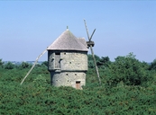 Château et moulin des Timbrieux (Cruguel)