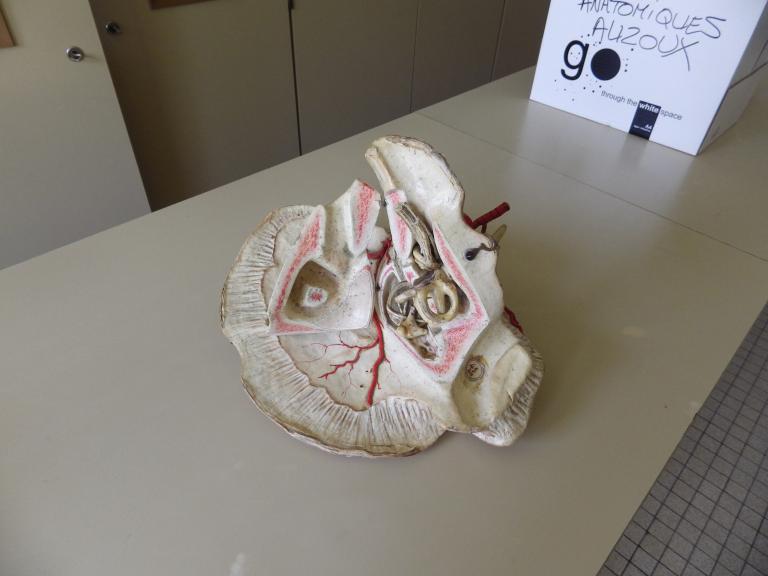 Collections pédagogiques du Lycée Auguste Brizeux, 6 Rue Bourg les Bourgs (Quimper)