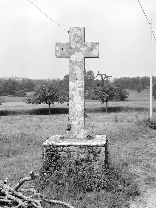 Croix de chemin, le Bot (Saint-Nicolas-du-Tertre)